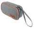 Insulin Organizer (With 2 Ice Bags)