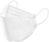 KN95 Face Masks